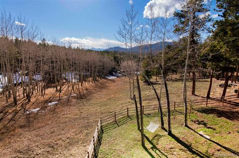 12255 Conifer Ridge Dr, Conifer, CO 80433 photo 39