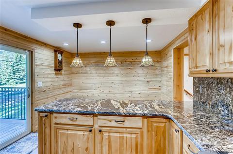 412 E Mountain Ave, Empire, CO 80438 photo 7