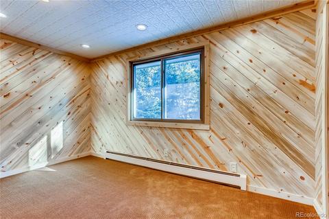 412 E Mountain Ave, Empire, CO 80438 photo 8