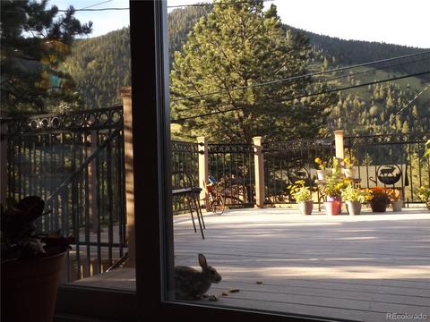 412 E Mountain Ave, Empire, CO 80438 photo 22