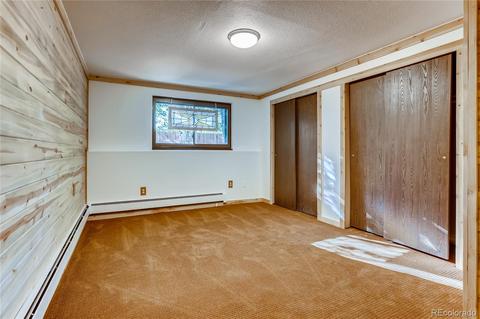 412 E Mountain Ave, Empire, CO 80438 photo 13