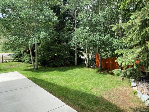 412 E Mountain Ave, Empire, CO 80438 photo 32