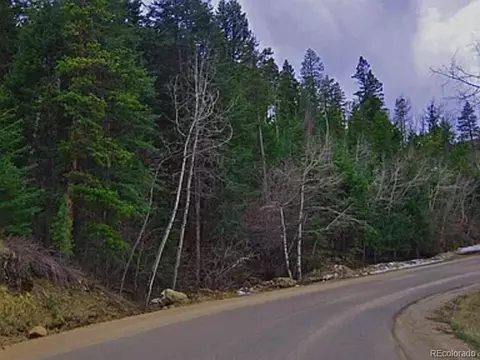 10136 Crest View Dr, Morrison, CO 80465 photo 3
