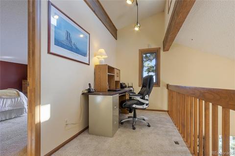 6247 High Dr, Morrison, CO 80465 photo 23