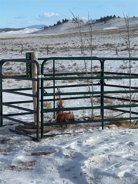 2555 Bare Trl, Hartsel, CO 80449