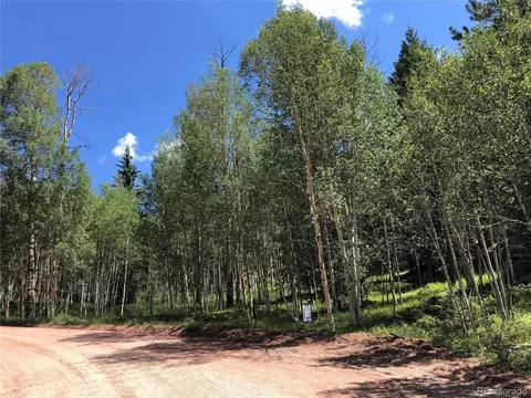 3015 N Mountain Estates Rd, Florissant, CO 80816