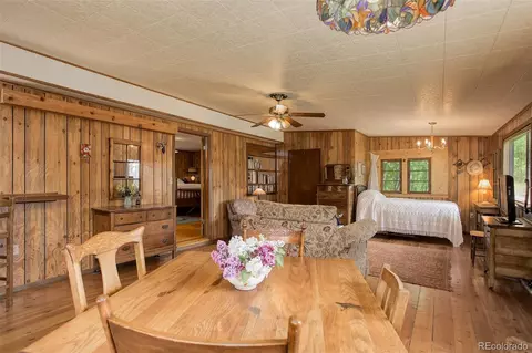 44 Pine St, Rye, CO 81069 photo 17