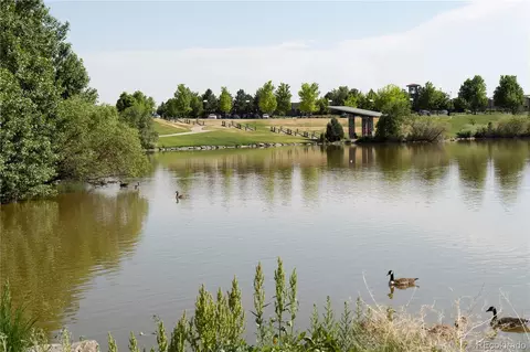 View/Area - 22333 E 46th Ave, Aurora, CO 80019 photo 16 of 22