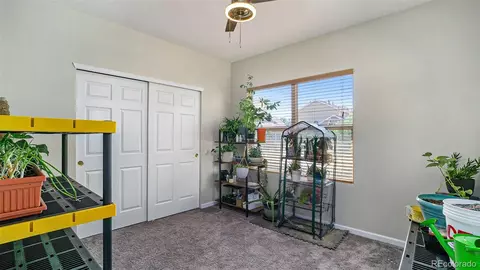 903 Lucca Dr, Evans, CO 80620 photo 23
