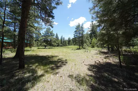 136 Elk Meadow Run, Antonito, CO 81120