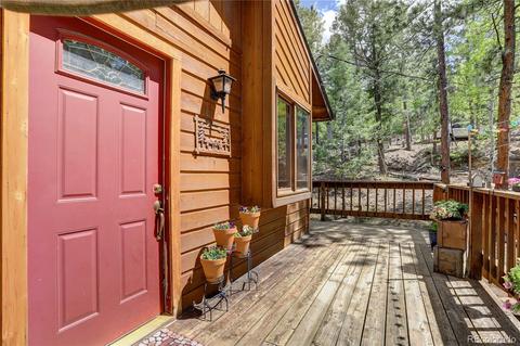 163 N Circle Dr, Bailey, CO 80421 photo 4