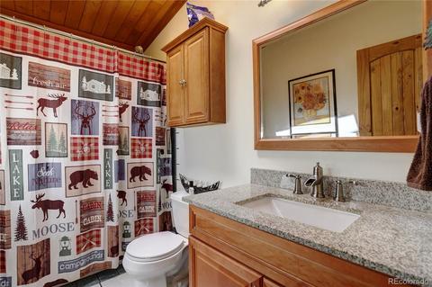 163 N Circle Dr, Bailey, CO 80421 photo 19