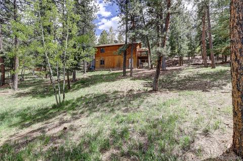 163 N Circle Dr, Bailey, CO 80421 photo 27