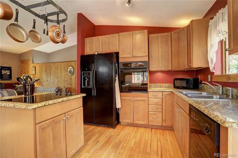 163 N Circle Dr, Bailey, CO 80421 photo 8