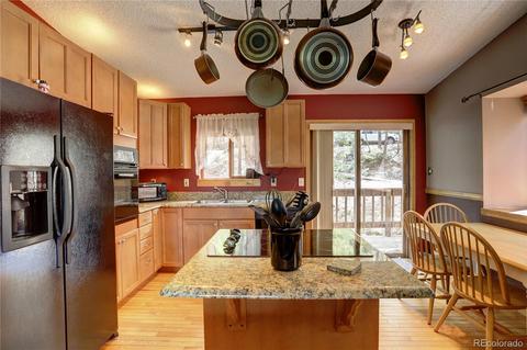 163 N Circle Dr, Bailey, CO 80421 photo 6