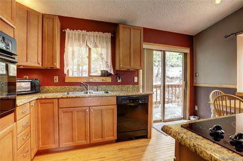 163 N Circle Dr, Bailey, CO 80421 photo 14