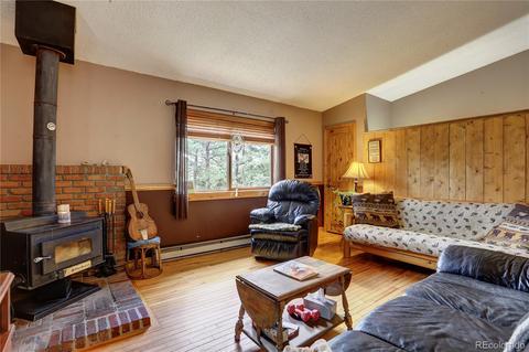 163 N Circle Dr, Bailey, CO 80421 photo 13