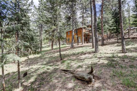 163 N Circle Dr, Bailey, CO 80421 photo 26
