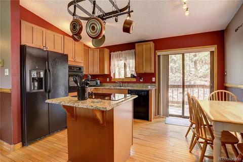 163 N Circle Dr, Bailey, CO 80421 photo 12