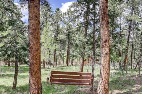 163 N Circle Dr, Bailey, CO 80421 photo 24