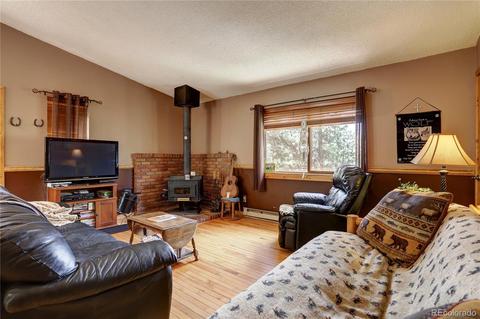 163 N Circle Dr, Bailey, CO 80421 photo 9