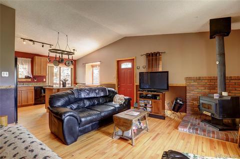163 N Circle Dr, Bailey, CO 80421 photo 11