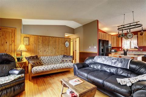 163 N Circle Dr, Bailey, CO 80421 photo 15
