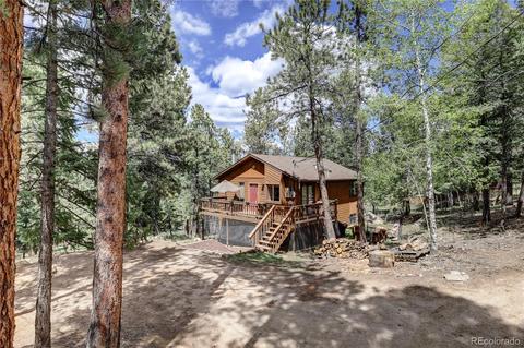 163 N Circle Dr, Bailey, CO 80421 photo 2
