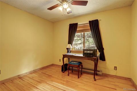 163 N Circle Dr, Bailey, CO 80421 photo 20