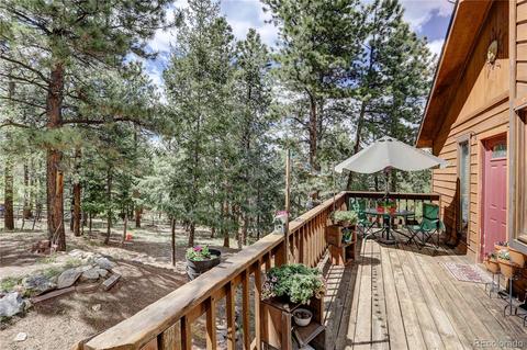 163 N Circle Dr, Bailey, CO 80421 photo 28