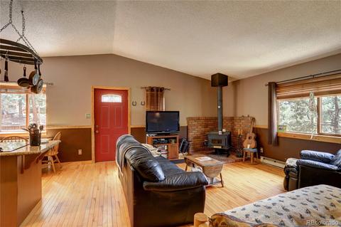 163 N Circle Dr, Bailey, CO 80421 photo 16