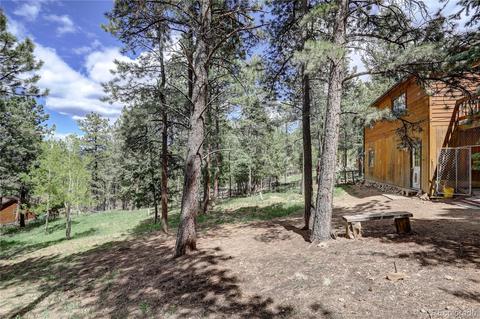 163 N Circle Dr, Bailey, CO 80421 photo 25