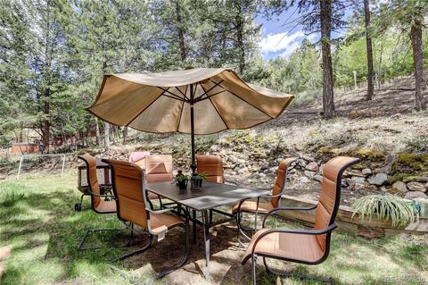 163 N Circle Dr, Bailey, CO 80421 photo 3