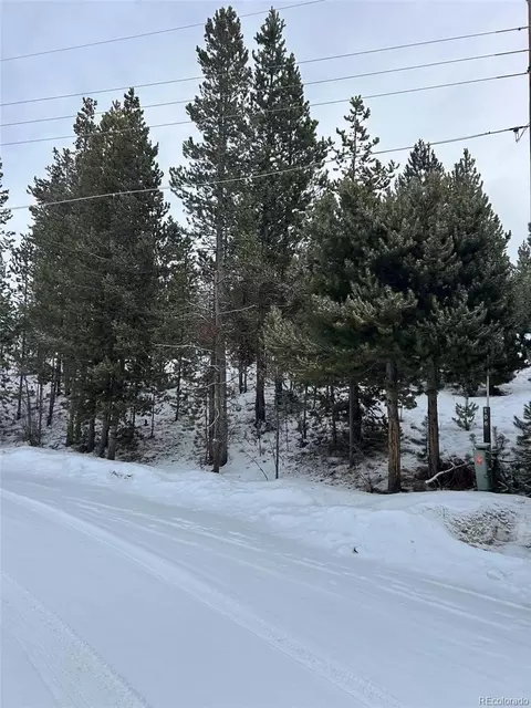 114 122 Mustang Trl, Grand Lake, CO 80447