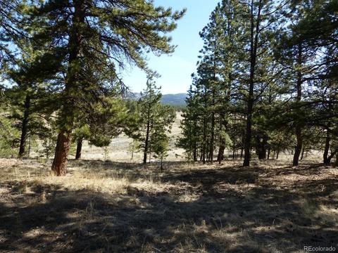 199 Deerhaven Dr, Westcliffe, CO 81252 photo 10