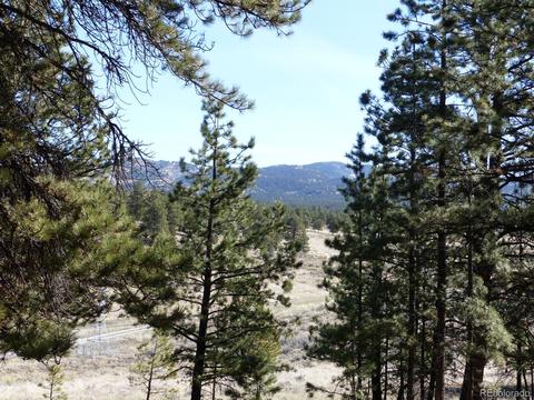 199 Deerhaven Dr, Westcliffe, CO 81252 photo 11