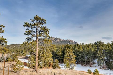 19968 Argentine Way, Buffalo Creek, CO 80425 photo 39