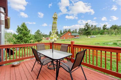213 Quakie Way, Bailey, CO 80421 photo 26