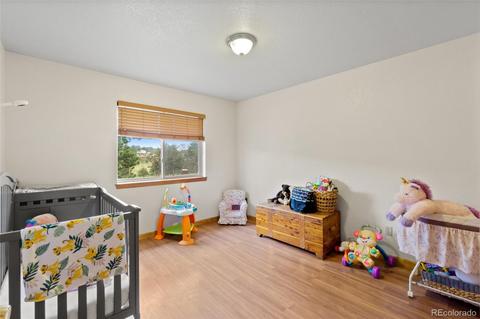 213 Quakie Way, Bailey, CO 80421 photo 15
