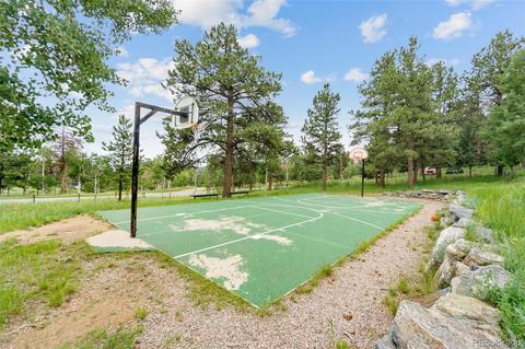 213 Quakie Way, Bailey, CO 80421 photo 29