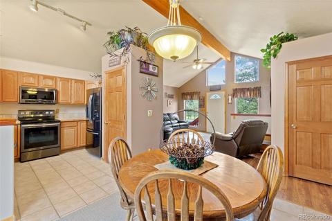213 Quakie Way, Bailey, CO 80421 photo 8