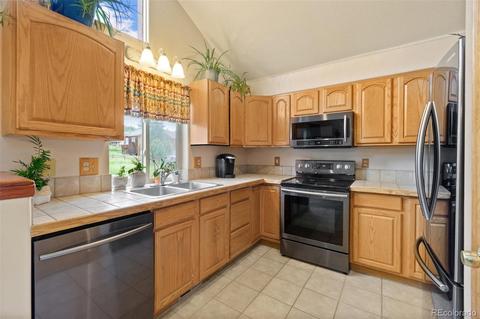 213 Quakie Way, Bailey, CO 80421 photo 10