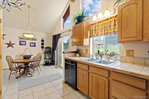 213 Quakie Way, Bailey, CO 80421 photo 11