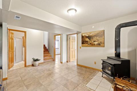 213 Quakie Way, Bailey, CO 80421 photo 18