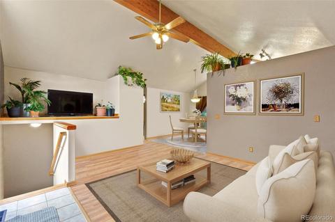 213 Quakie Way, Bailey, CO 80421 photo 4