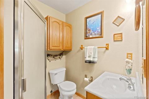 213 Quakie Way, Bailey, CO 80421 photo 20
