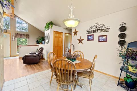 213 Quakie Way, Bailey, CO 80421 photo 7
