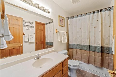 213 Quakie Way, Bailey, CO 80421 photo 14