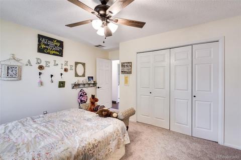 4855 S Taft St, Morrison, CO 80465 photo 15