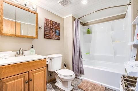 462 Yellow Pine Dr, Bailey, CO 80421 photo 20